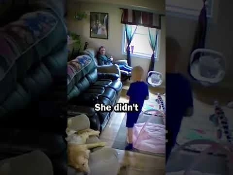 Dog saves a boy from a furious cat #shorts #shortsviral #dogs
