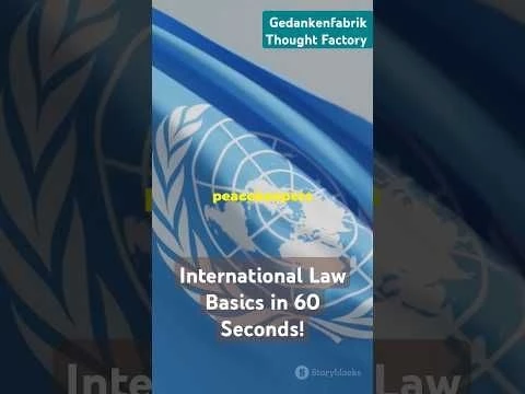 International Law Basics in 60 Seconds! #law #legal #internationallaw #foreignrelations #lawyers