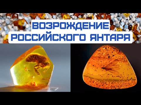 ЯНТАРЬ: добыча и переработка «СОЛНЕЧНОГО КАМНЯ»