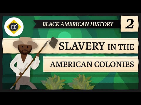 Slavery in the American Colonies: Crash Course Black American History #2