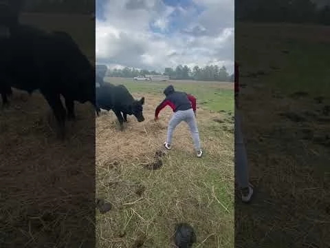Young Black Cowboys