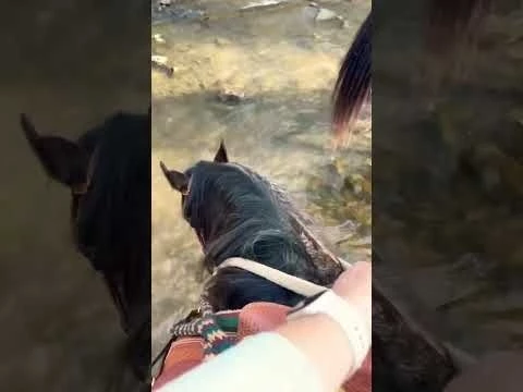 Farm Tour Horseback // This Farm Wife SHORTS #horse #farmlife #cowboys #cowgirls #horsebackriding