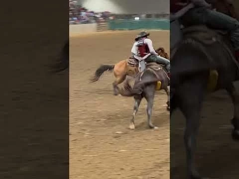 Gonzales, Louisiana Black Rodeo 2023 my second ride for 2nd place with 72pts