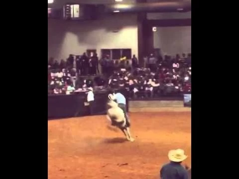 Philadelphia Black Rodeo 2016 Justa Cowboy Association Dexter Thedford Saddle Bronc