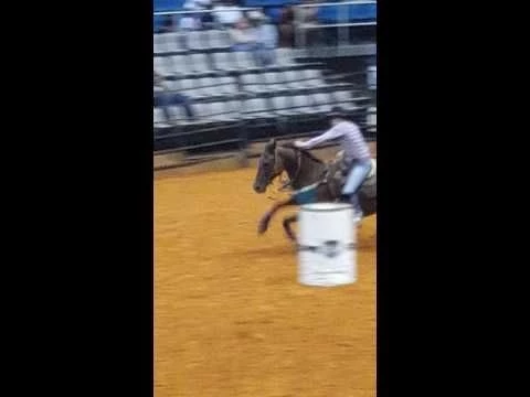 2016 Real Cowboys Association Mississippi Gulf Coast Black Rodeo(2)
