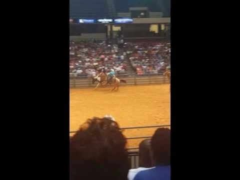 BLACK RODEO BRONCO  (STEELE)