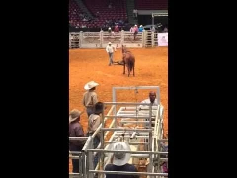 Black Rodeo 2