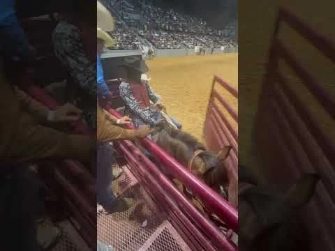 Jackson, Mississippi Southeastern Open Black Rodeo 2023 #ExcuseThecursing