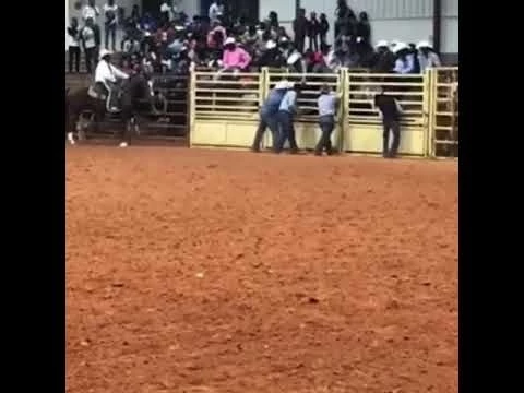 Philadelphia Black Rodeo 2019 Bronc Ride Horse went down