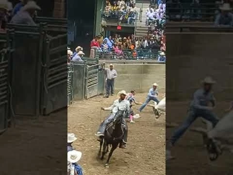 Trampled by the bull. Gonzales Black Rodeo 2023
