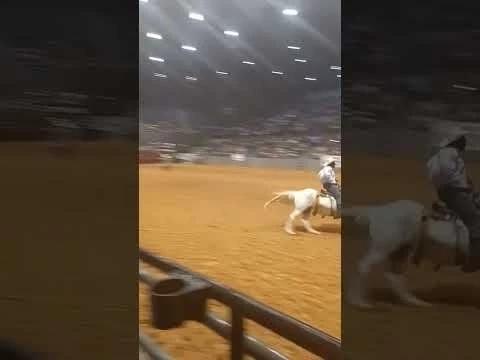 #rodeo Sera Black Rodeo #jacksonmississippi