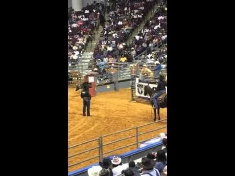 Black rodeo finals 2015