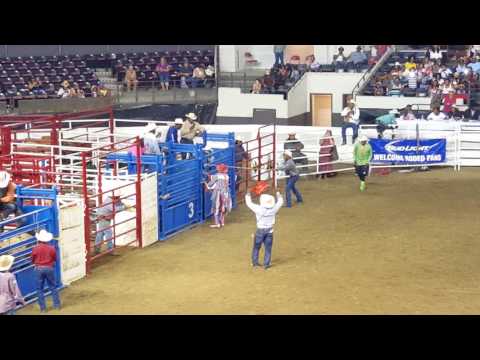 Bull riding accident at Black Rodeo