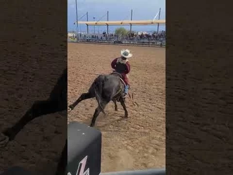 LAS VEGAS @ BLACK RODEO USA THIS PAST WEEKEND ROUND 1 WINNER WITH 74 PTS. ON A HORSE CALLED ROYCE!!