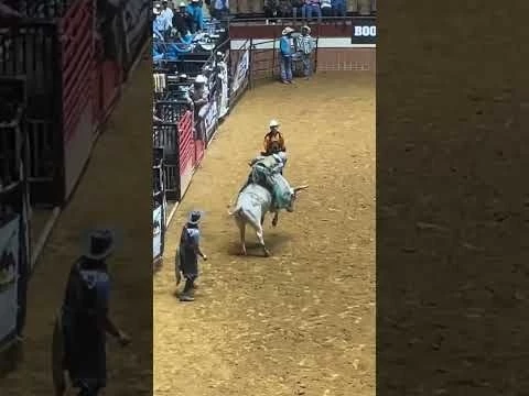 Bull Riding at the Black Rodeo in Momtgomery, AL