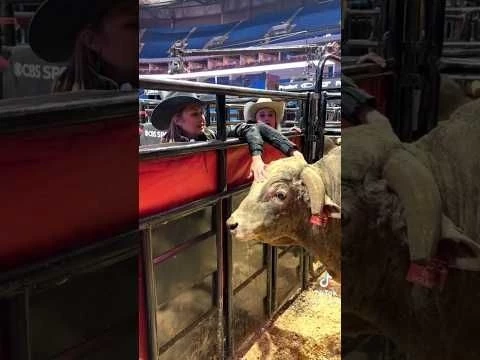 What You Don#39;t See At Rodeo Events, Top Bucking Bulls #Rodeo #buckingbull #buckingbulls #bullriders
