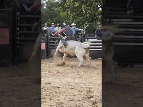 Bull ride in Belton