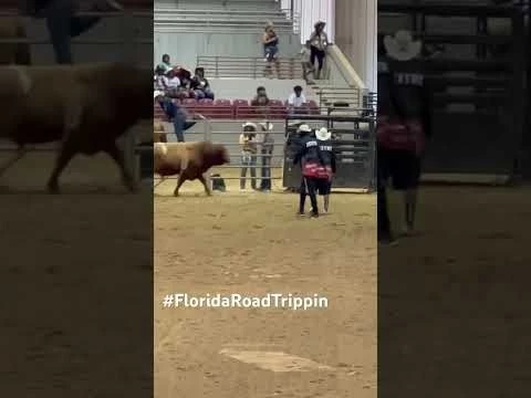 Bull riders of Black Rodeo USA held in Jacksonville Florida #shortvideo #shorts