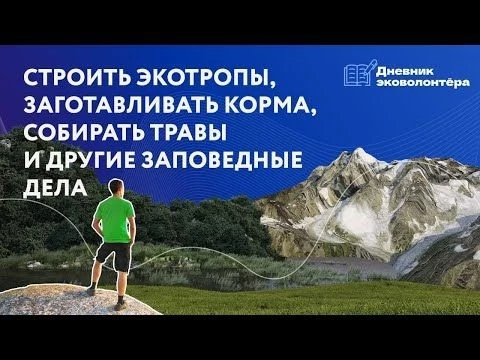 Для сильных духом: всё о заповедном волонтёрстве | Урок 5 | Дневник волонтёра