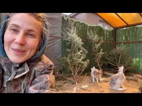 Дневник Волонтера Дом Зайца 1. Даша рассказывает о делах и правилах