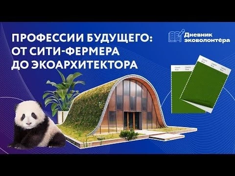 Из хобби в профессию: кем может стать эковолонтёр | Урок 3 | Дневник волонтёра