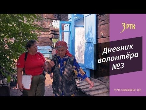 Дневник волонтера №3
