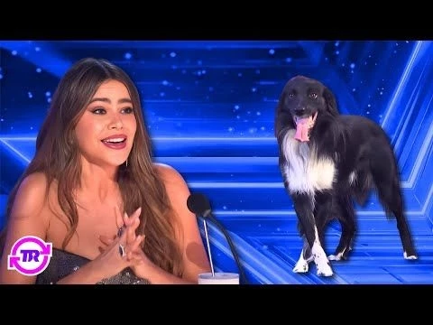AGT 2024 Runner-Up Roni Sagi  Rhythm ALL Performances!