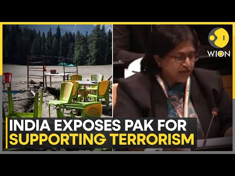 India-Pak Tensions: India Slams Pakistan As Rogue State At United Nations Forum | World News