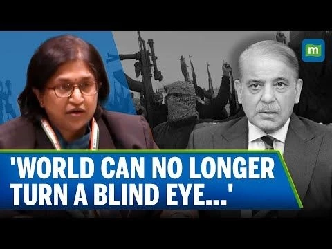 India Slams Pakistan As #39;Rogue State#39; At The UN; Highlights Cross-Border Terrorism, Pahalgam Attack