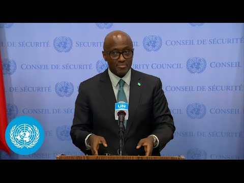 Rwanda on the Democratic Republic of Congo#39;s Security Situation - Security Council Media Stakeout