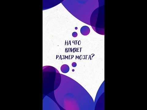 На ЧТО влияет РАЗМЕР МОЗГА? — Научпок #shorts