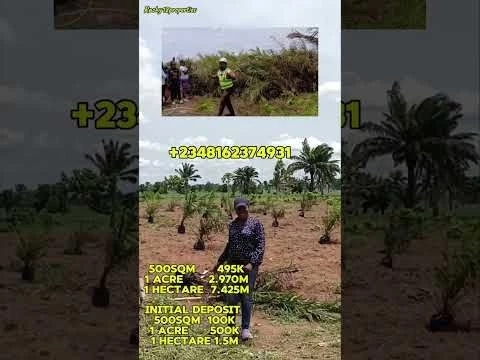 Build Your Wealth through Agricultural Realestate Buy Palmrich estate ado odo ota