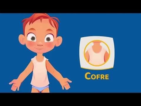 Aprenda las partes del cuerpo | Vocabulario de niños | Biología Preescolar | Aprende español