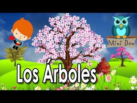¿Qué son los árboles? | Videos Educativos para Niños