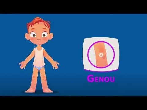 Apprendre les parties du corps | Vocabulaire Enfants | Biologie Préscolaire | Corps humain