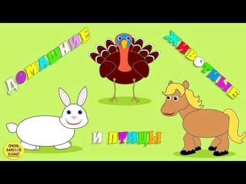 Домашние животные и птицы для детей. Часть 2. Развивающие мультфильмы для детей