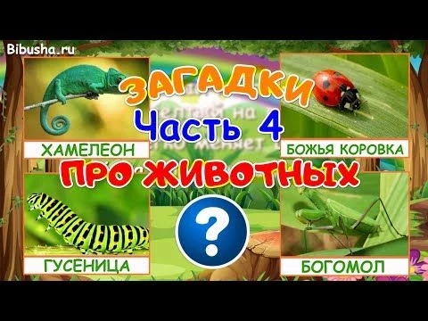 ЗАГАДКИ ПРО ЖИВОТНЫХ - Часть 4 | Загадки для детей
