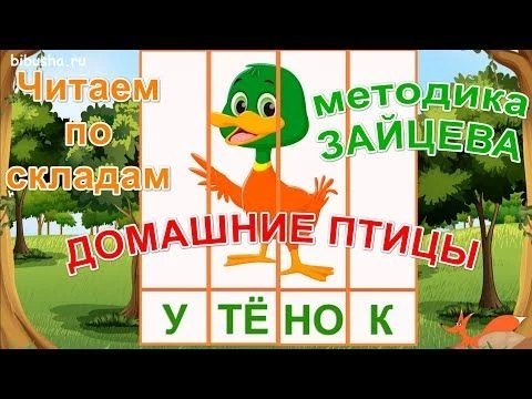 Учимся читать по слогам и складам quot;ДОМАШНИЕ ПТИЦЫquot; | Карточки по методике ЗАЙЦЕВА