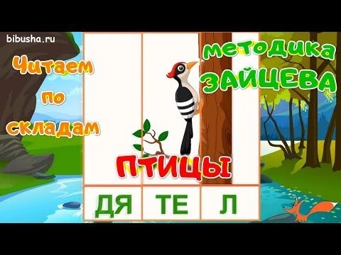 Учимся читать по слогам и складам quot;ПТИЦЫquot; | Карточки по методике ЗАЙЦЕВА