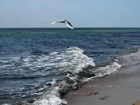 Пахнет морем     Моя Одесса