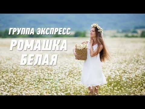 Ромашка белая - группа Экспресс. Танцевальная Одесская песня. Одесские песни / Odessa Music /