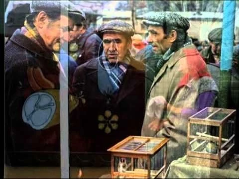 Одесса моей юности.