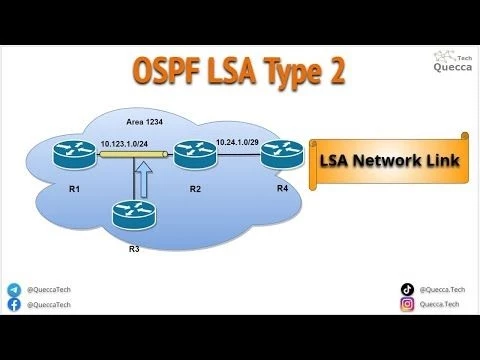 OSPF Type 2 LSA (Network Link LSA)