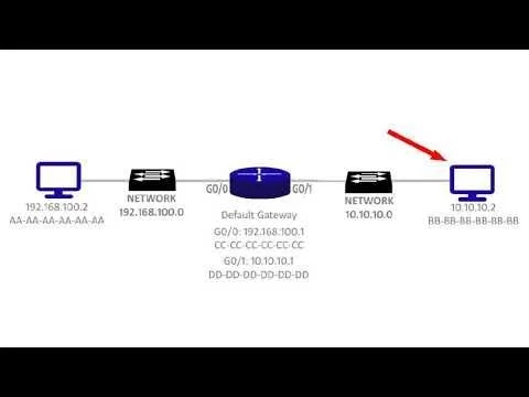 A Packet#39;s Journey - How Data Travels Across a Computer Network