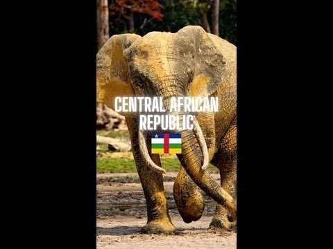 central african republic