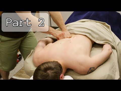 Professional Deep Tissue Techniques Part 2 - QL and Low Back Attack!