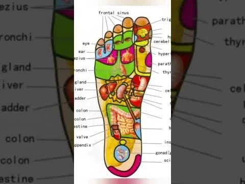 50 + Reasons to Massage Your feet every day before sleeping | Foot Acupressure Points