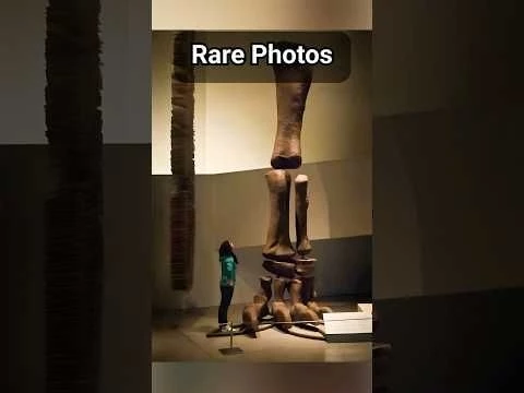RARE PHOTOS That Will Change Your Perspective