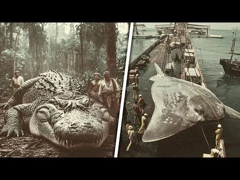 These Old Photos Will Change Your Perspective On the Past!