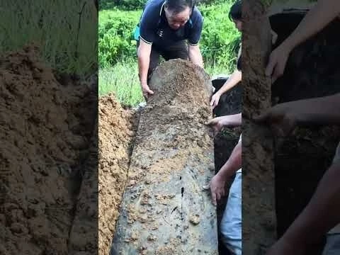 Opening Up A 52 Year Old Coffin #shorts